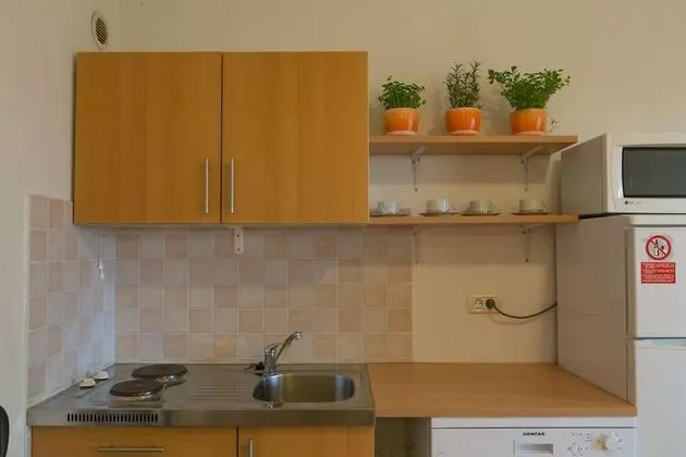 Standard Apart Daire, 1 Yatak Odası (21/18)