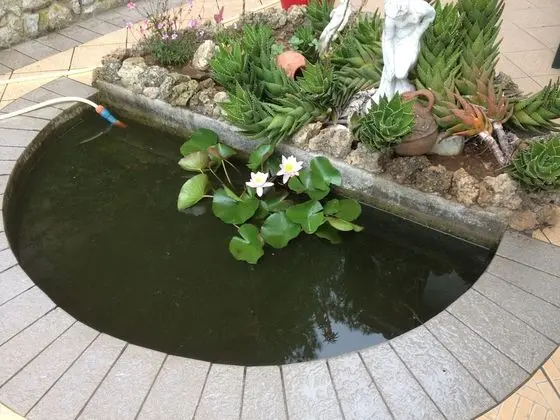 Apart Daire, 1 Yatak Odası, Balkon