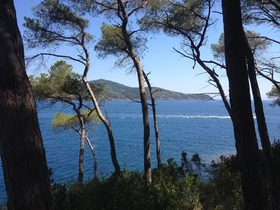 Apart Daire, 1 Yatak Odası, Balkon