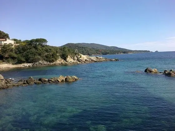 Apart Daire, 1 Yatak Odası, Balkon