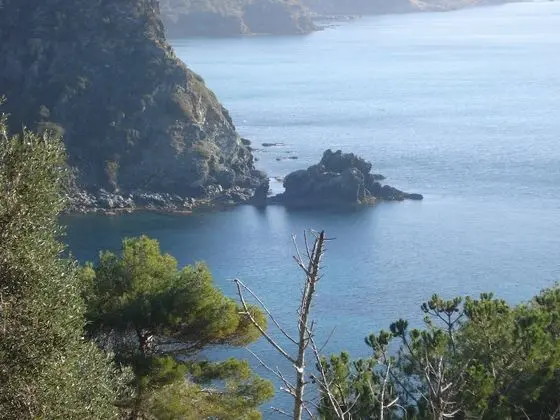 Apart Daire, 1 Yatak Odası, Balkon
