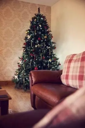 Apart Daire, Özel Banyo, Şehir Manzaralı