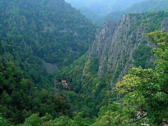 Apart Daire, 1 Yatak Odası, Buzdolabı