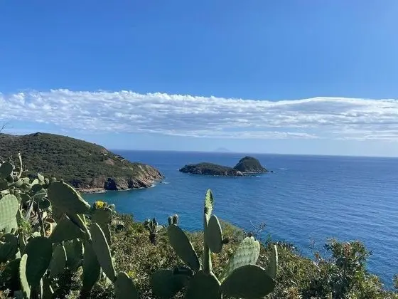 Apart Daire, 1 Yatak Odası, Engellilere Uygun, Buzdolabı