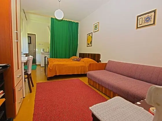 Standard Stüdyo, 1 Yatak Odası (461/1081)