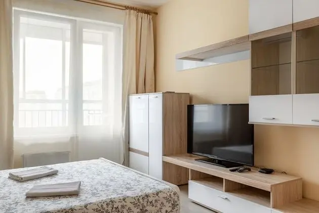 Comfort Apart Daire, 1 En Büyük (King) Boy Yatak, Sigara İçilmez