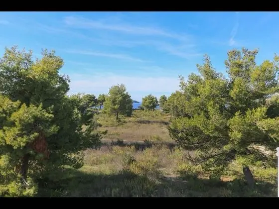 Apart Daire, 1 Yatak Odası, Balkon