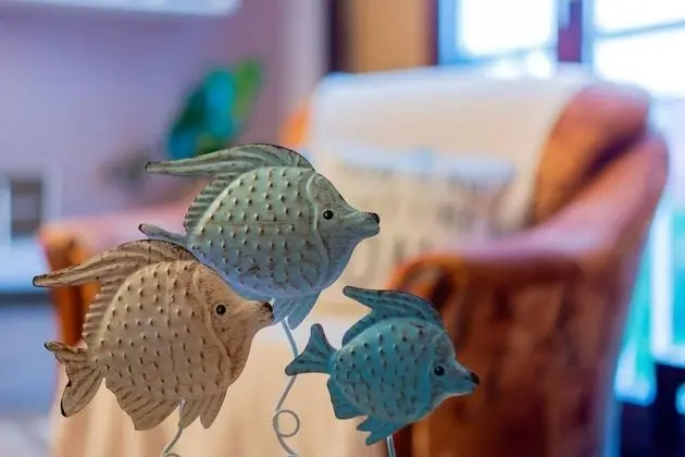 Apart Daire, 1 Büyük (Queen) Boy Yatak