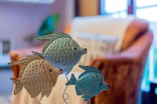 Apart Daire, 1 Büyük (Queen) Boy Yatak