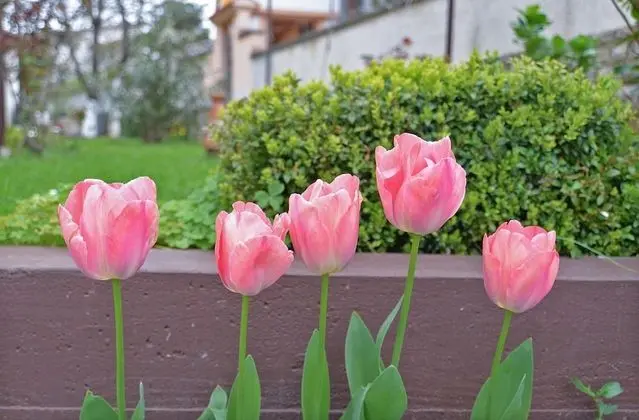 Standard Apart Daire, 1 Yatak Odası (0176)