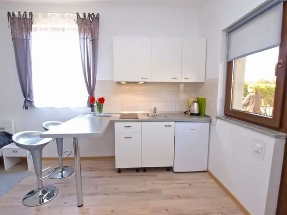 Standard Stüdyo, 1 Yatak Odası (589/1427)