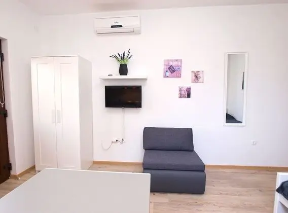 Standard Stüdyo, 1 Yatak Odası (589/1427)