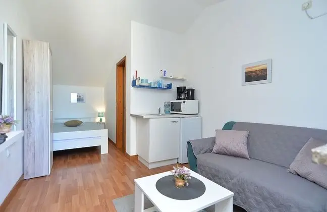 Standard Stüdyo, 1 Yatak Odası (589/53016)