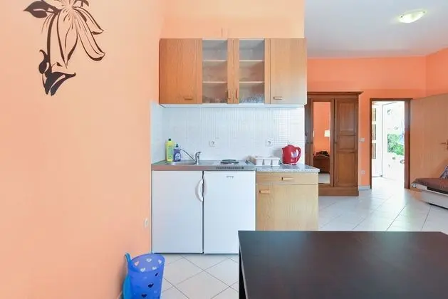 Standard Stüdyo, 1 Yatak Odası (72/19122)