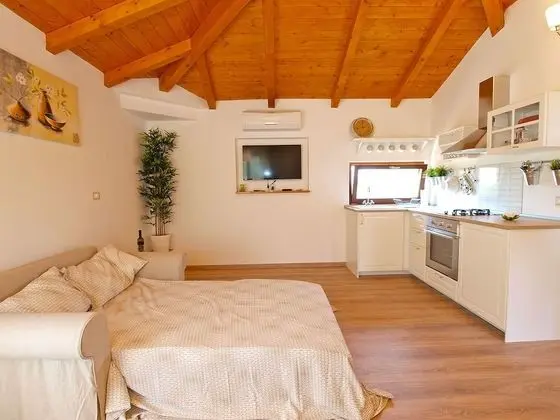 Standard Stüdyo, 1 Yatak Odası (0238)