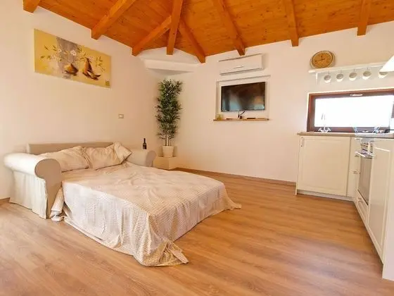 Standard Stüdyo, 1 Yatak Odası (0238)