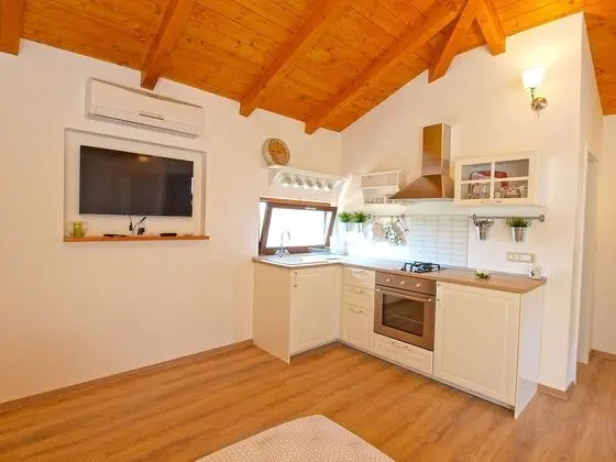 Standard Stüdyo, 1 Yatak Odası (0238)