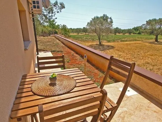 Standard Stüdyo, 1 Yatak Odası (0238)