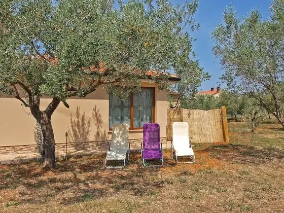 Standard Stüdyo, 1 Yatak Odası (0238)