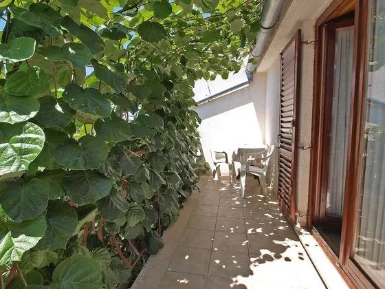 Standard Stüdyo, 1 Yatak Odası (909/2114)