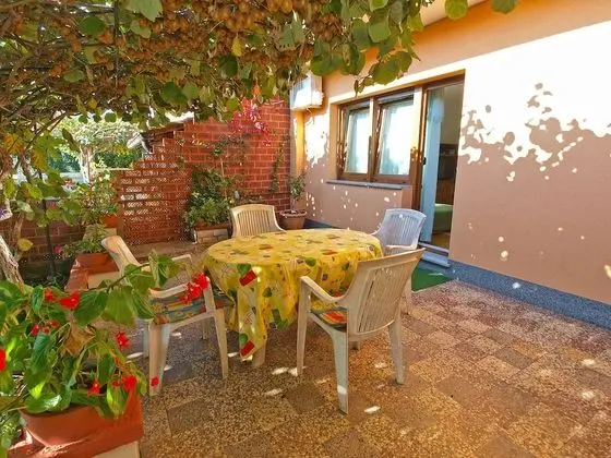 Standard Apart Daire, 2 Yatak Odası (0245)