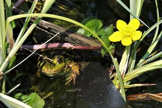 Apart Daire, Özel Banyo (Bootsmann)