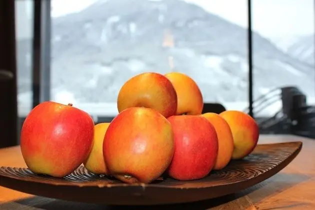 Panoramic Çatı Katı Süiti (Penthouse), Birden Çok Yatak, Sigara İçilmez