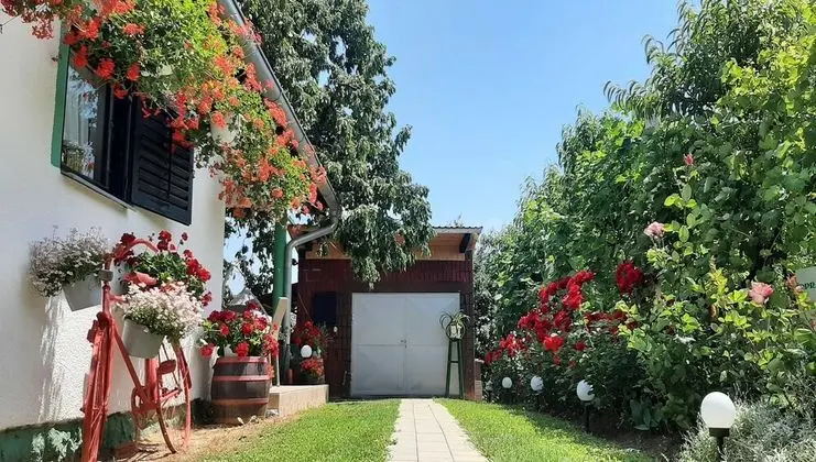 Apart Daire (Two Bedroom Apartment with Terrace)