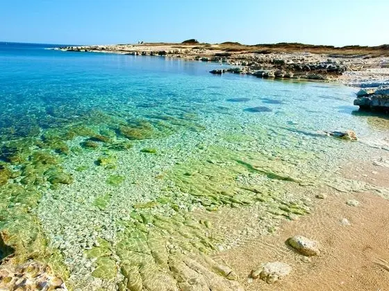 Apart Daire, 2 Yatak Odası, Balkon