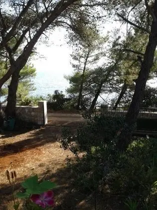 Apart Daire (One Bedroom Apartment with Terrace an)