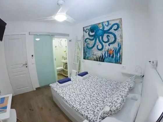 Standard Tek Büyük Yataklı Oda, Göl Manzaralı