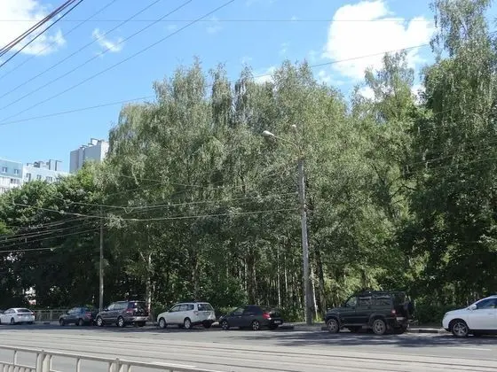 Apart Daire (Belinskogo 11/66 - 81)