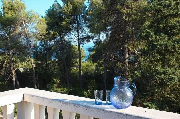 Apart Daire (Two Bedroom Apartment with Terrace)