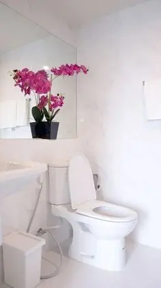 Comfort Apart Daire, 1 Yatak Odası