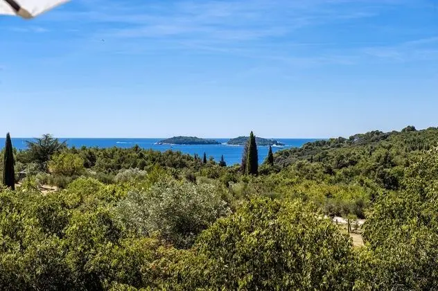 Basic Apart Daire, 1 Yatak Odası, Deniz Manzaralı