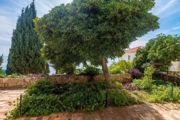 Apart Daire (Apartment Charming Arena - One Bedroo)