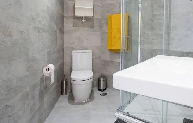 Apart Daire, 1 Yatak Odası, Teras