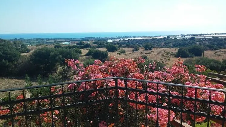 Apart Daire, 1 Yatak Odası, Veranda