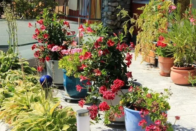 Comfort Apart Daire, 2 Yatak Odası, Zemin Kat