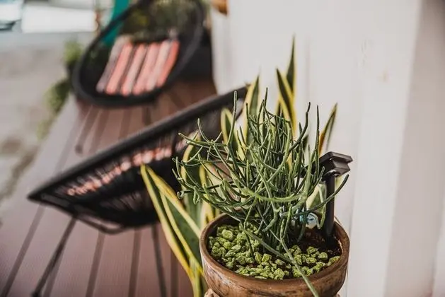 Apart Daire (Two bedroom apartment)