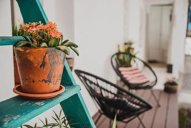 Apart Daire (Two bedroom apartment)