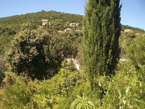 Apart Daire (One Bedroom Apartment with Terrace an)