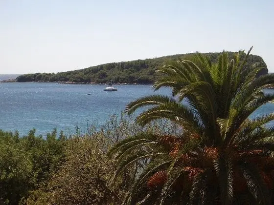 Apart Daire (One Bedroom Apartment with Terrace an)