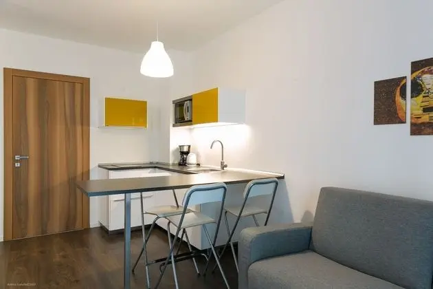 Deluxe Apart Daire, 1 Çift Kişilik Yatak ve Çekyat, Sigara İçilmez, Şehir Manzaralı (Diamond)