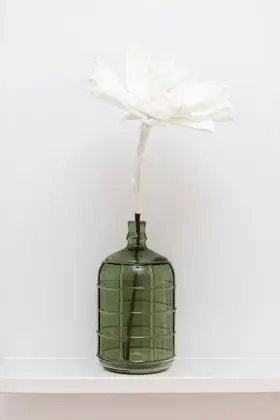 Apart Daire, 1 Yatak Odası, Teras