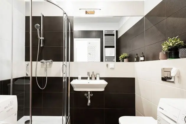 Apart Daire, 1 Yatak Odası, Teras