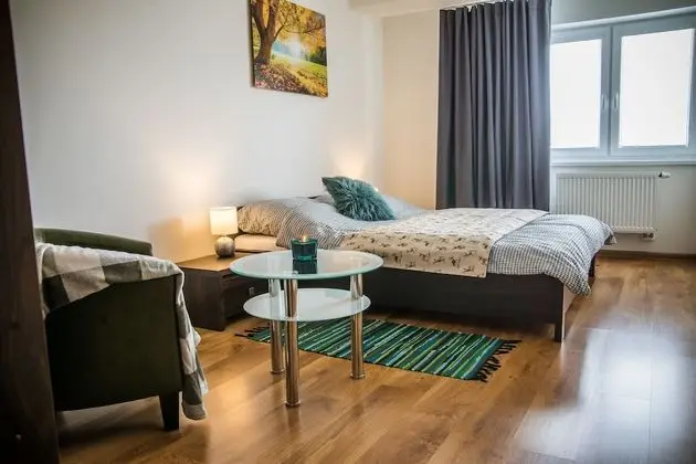 Apart Daire, 2 Yatak Odası (D9)