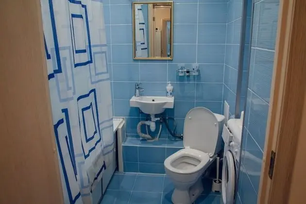 Apart Daire, 1 Yatak Odası (Yumasheva, 6-108)