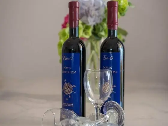 Apart Daire (Two-Bedroom Apartment with Terrace an)