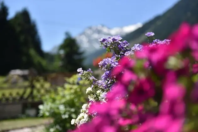 Luxury Süit, 2 Yatak Odası, Balkon